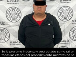 Detienen a una persona por presentar una licencia de conducir apócrifa