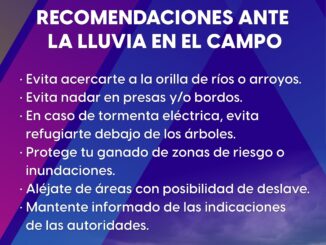 Recomendaciones para estos días de lluvia en el campo de Aguascalientes