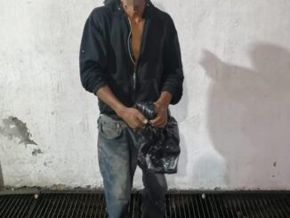 Por los probables delitos de allanamiento y daños a la propiedad privada, Policías Municipales de Aguascalientes detienen a una persona en VNSA