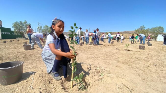 Participa en la Primera reforestación masiva del año este sábado en el Parque Rodolfo Landeros