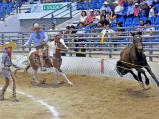 Concluyó la Eliminatoria de Equipos Infantiles "B" sin sobresaltos en Charrería