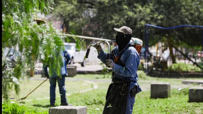 Mantiene Municipio de Aguascalientes labores de desmalezado y bacheo en diversos puntos de la Ciudad