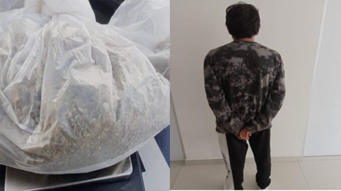 En posesión de aproximadamente 40 gramos de marihuana, Policías Municipales de Aguascalientes detienen a una persona en Jardines del Parque