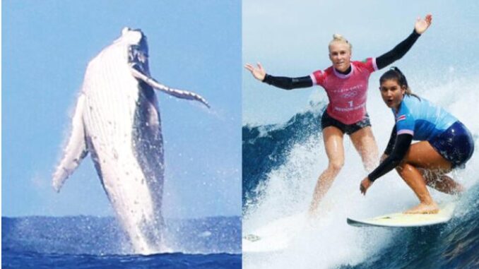 ¡Una ballena saltó en la semifinal de Surf de los Juegos Olímpicos!