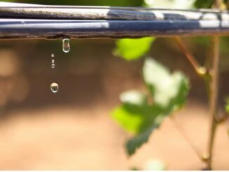 Gobierno del estado invita a Jóvenes a dejar huella en Aguascalientes con propuestas que promuevan el uso eficiente del agua