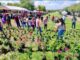 Segunda edición de la Expo Ambiental en la Línea Verde