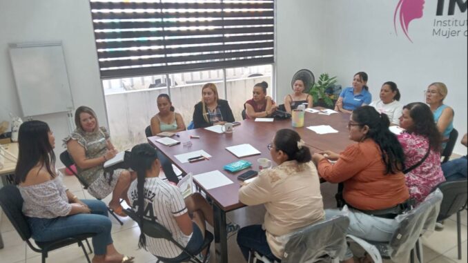 Instituto Municipal de la Mujer amplía horario de atención en Casa Rosa de VNSA