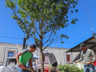 iContinúa la reforestación en el municipio de Jesus María!