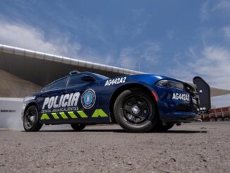 Portaba una licencia de conducir falsa y fue detenido