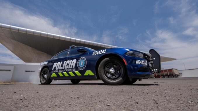 Portaba una licencia de conducir falsa y fue detenido