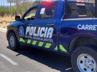 Por presentar una licencia de conducir falsa fue detenido