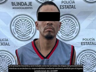 Fue detenido tras ser detectado cuando robaba en vagones del tren