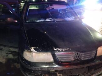 Policías Viales de Aguascalientes atienden reporte de accidente tipo atrpello que se registró en Ojocaliente I