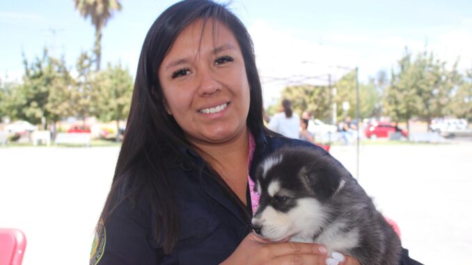 Este viernes, Servicios veterinarios, esterilizaciones y vacunas gratuitas en Maravillas