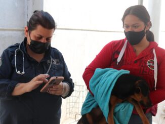 Este viernes, atención Veterinaria gratuita para tu Mascota en Calvillo