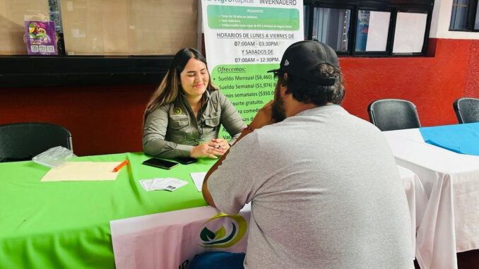 Asiste este miércoles a la Delegación Morelos y encuentra más de mil Vacantes laborales