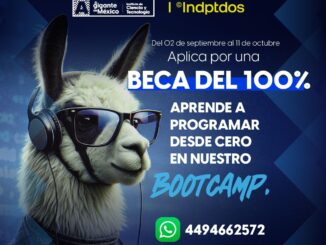 Convocan a particpar por Becas del 100 por ciento para aprender Programación