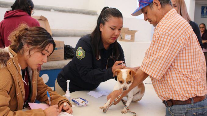 Este viernes, servicios veterinarios gratuitos en la comunidad La Escondida en San Pancho