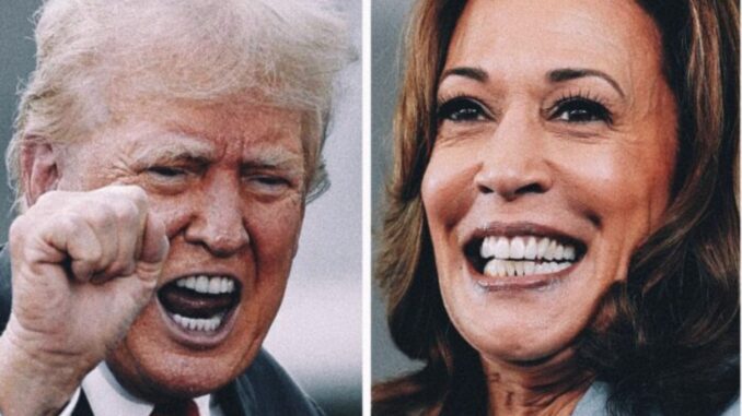 '¡No!': Trump rechaza debatir nuevamente con Kamala Harris