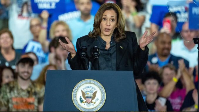 "Si alguien irrumpe en mi casa, recibirá un disparo",Kamala Harris confiesa que posee un arma