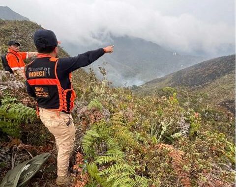 Sube a 20 el número de muertos por incendios forestales en Perú