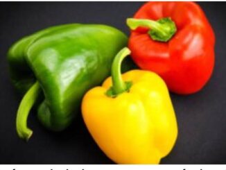 ¿Qué es el pimiento y para qué sirve?