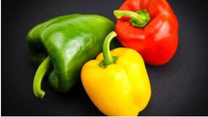 ¿Qué es el pimiento y para qué sirve?