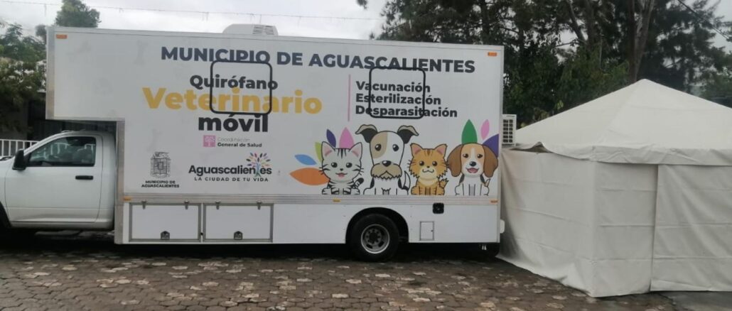 Efectuará Municipio de Aguascalientes nuevas Jornadas de esterilización canina y felina