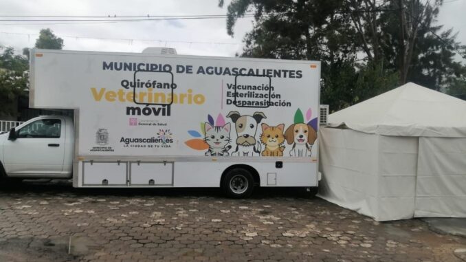 Efectuará Municipio de Aguascalientes nuevas Jornadas de esterilización canina y felina