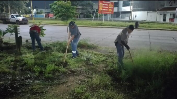 Intensifica Municipio de Aguascalientes trabajos de poda, desmalezado y retiro de ramas