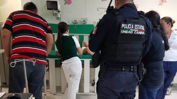 Trasladan elementos del Grupo K-9 a un menor a un hospital