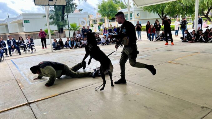 Realizan Jornada Interinstitucional de Prevención en Corto