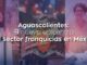 Primer Encuentro de Negocios y Franquicias en Aguascalientes