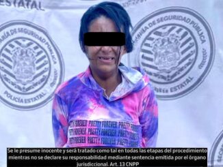 Termina detenida una mujer acusada de lesiones a los oficiales