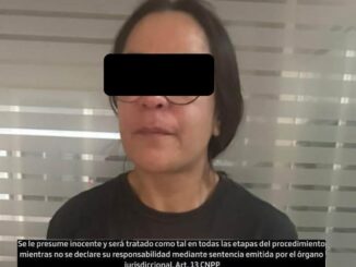 Detienen a una mujer que agredió a una oficial