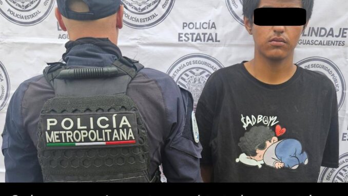 Detienen a una persona por posesión de droga y artículos robados