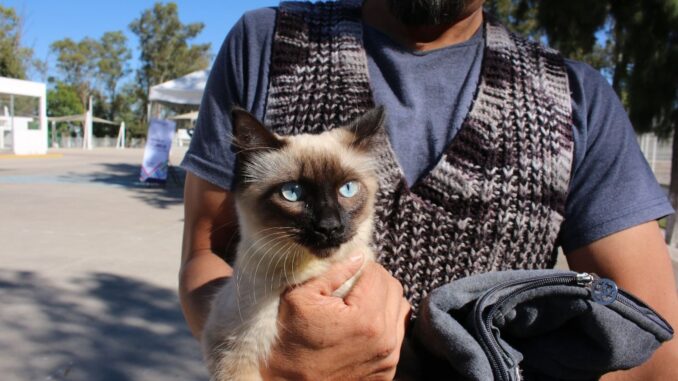 Llegan Servicios veterinarios gratuitos a Los Alamitos en Tepezalá