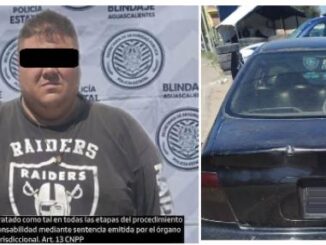 Aseguran a una persona que presentó una licencia de conducir falsa