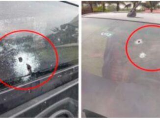 Evo Morales denuncia intento de asesinato; dispararon a su vehículo e hirieron a su chofer