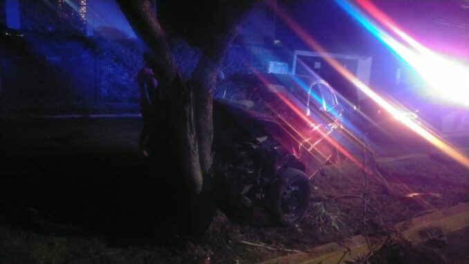 Policías Viales de Aguascalientes atienden reporte de accidente contra un árbol que se registró en Infonavit Pilar