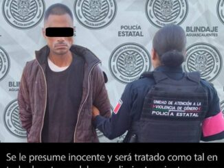 Policía Estatal detiene a una persona por violencia familiar