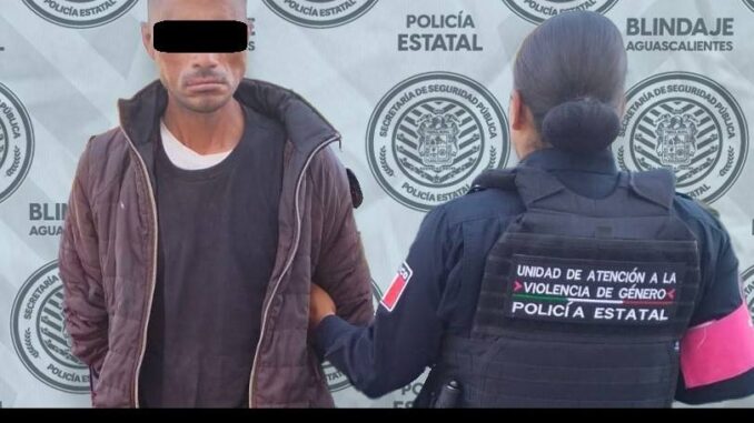 Policía Estatal detiene a una persona por violencia familiar