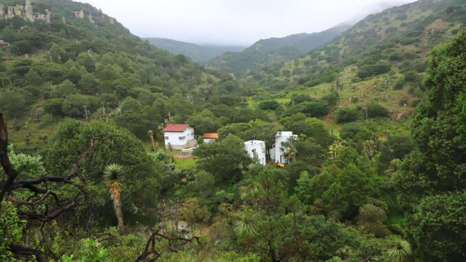 “No vivamos como si nada pasara”: Investigador exhorta a actuar por el medio ambiente