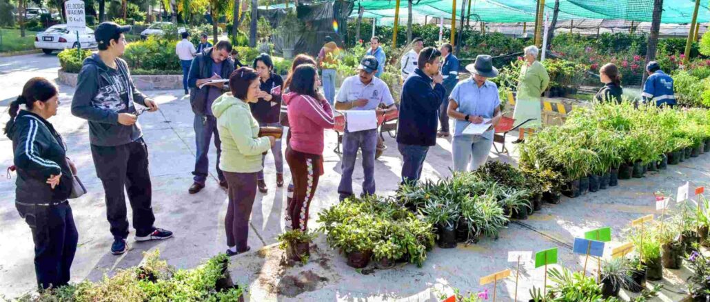 Municipio de Aguascalientes cierra con éxito Programa Anual de Donación de árboles y plantas 2024