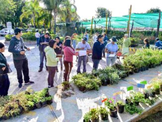 Municipio de Aguascalientes cierra con éxito Programa Anual de Donación de árboles y plantas 2024