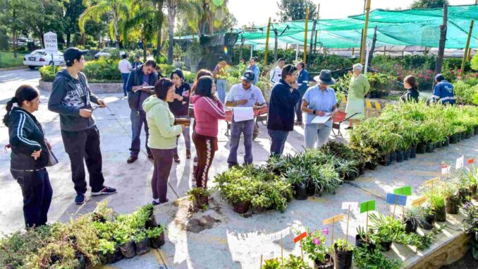 Municipio de Aguascalientes cierra con éxito Programa Anual de Donación de árboles y plantas 2024