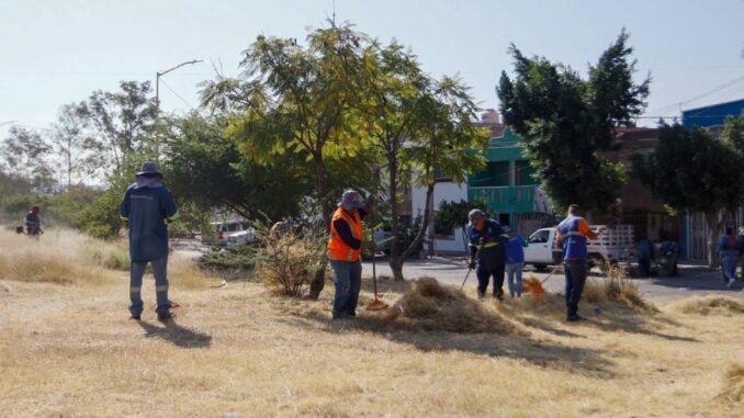 Municipio de Aguascalientes realiza Brigadas de Limpieza en el fraccionamiento Gómez Portugal