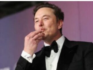 Trump asigna cargo público a Elon Musk