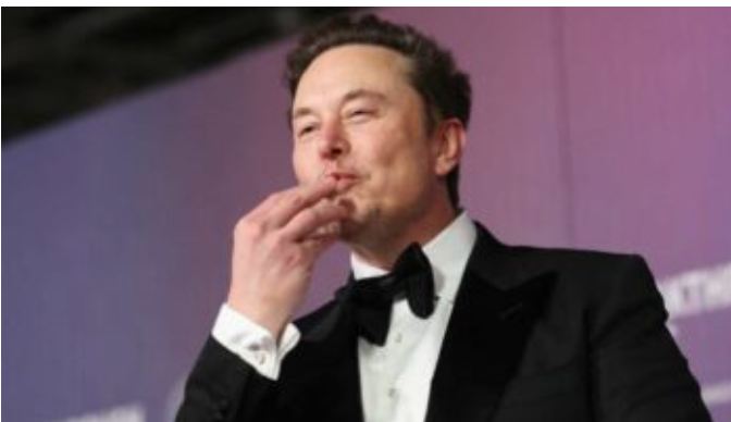 Trump asigna cargo público a Elon Musk