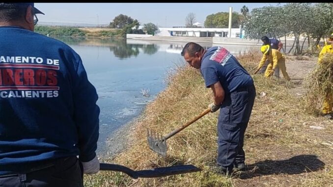 Se suma Protección Civil del MuniAgs a la limpieza y desmalezado de la Presa de los Gringos